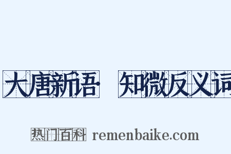 大唐新语·知微反义词是什么意思的图片